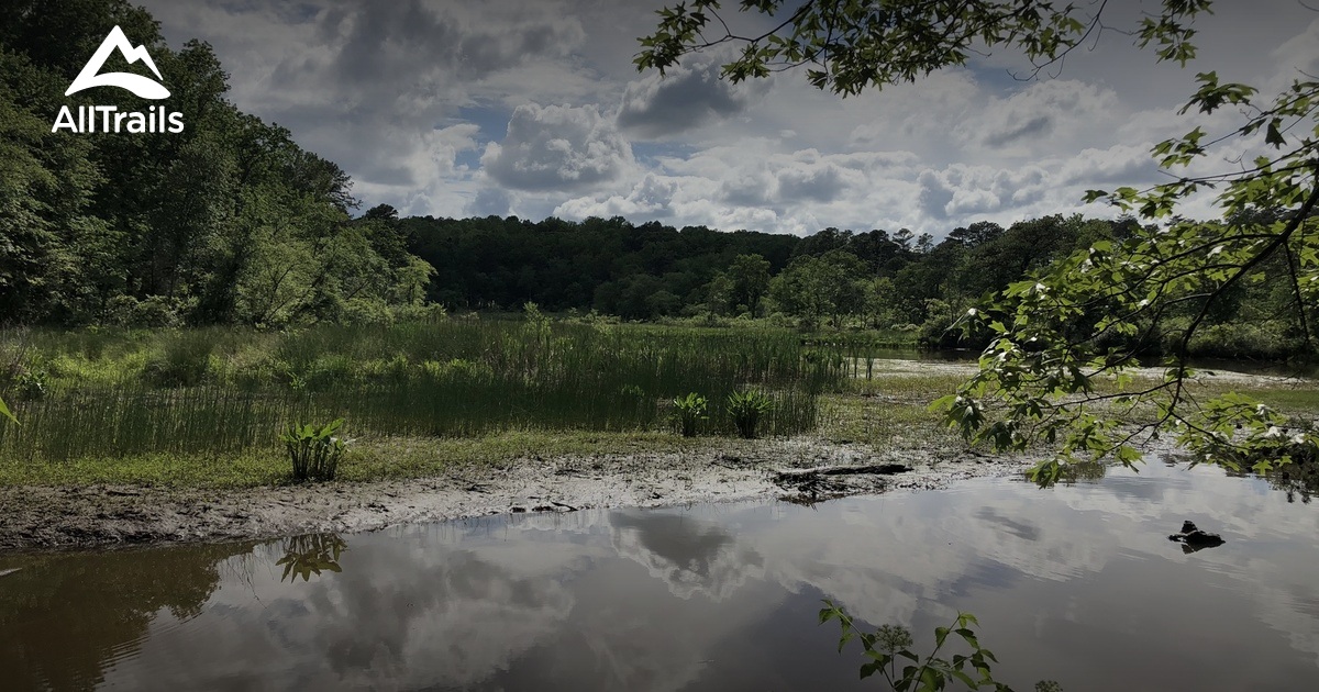 Best hikes and trails in Severn Run Natural Environment Area 