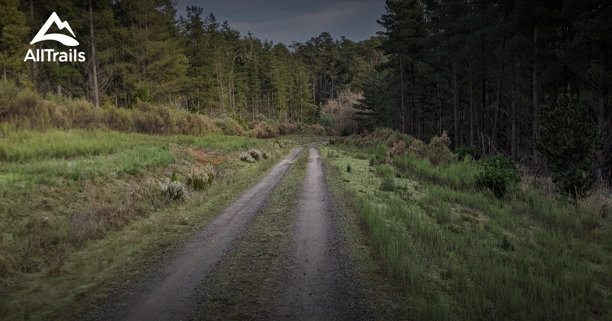 10 Best Hikes and Trails in Creswick State Forest AllTrails