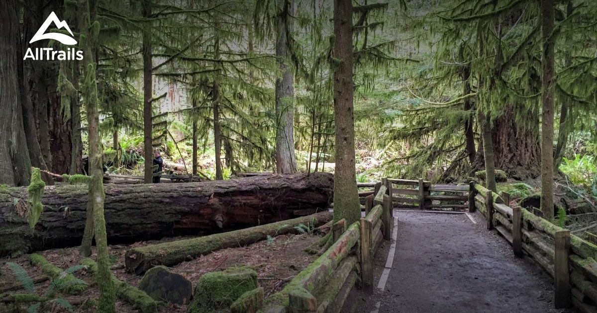Best Trails in MacMillan Provincial Park British Columbia, Canada