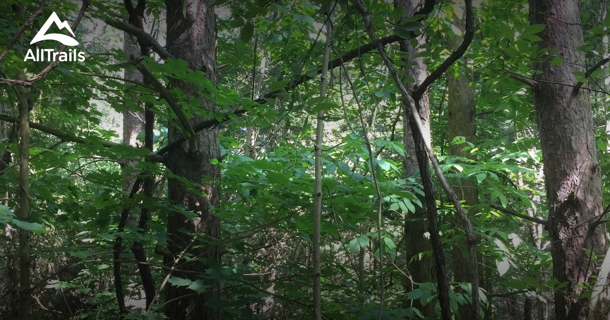 Best Trails in Cawthra Mulock Nature Reserve - Ontario, Canada | AllTrails