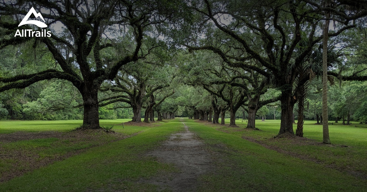 Best Trails in Laurel Hill County Park South Carolina AllTrails