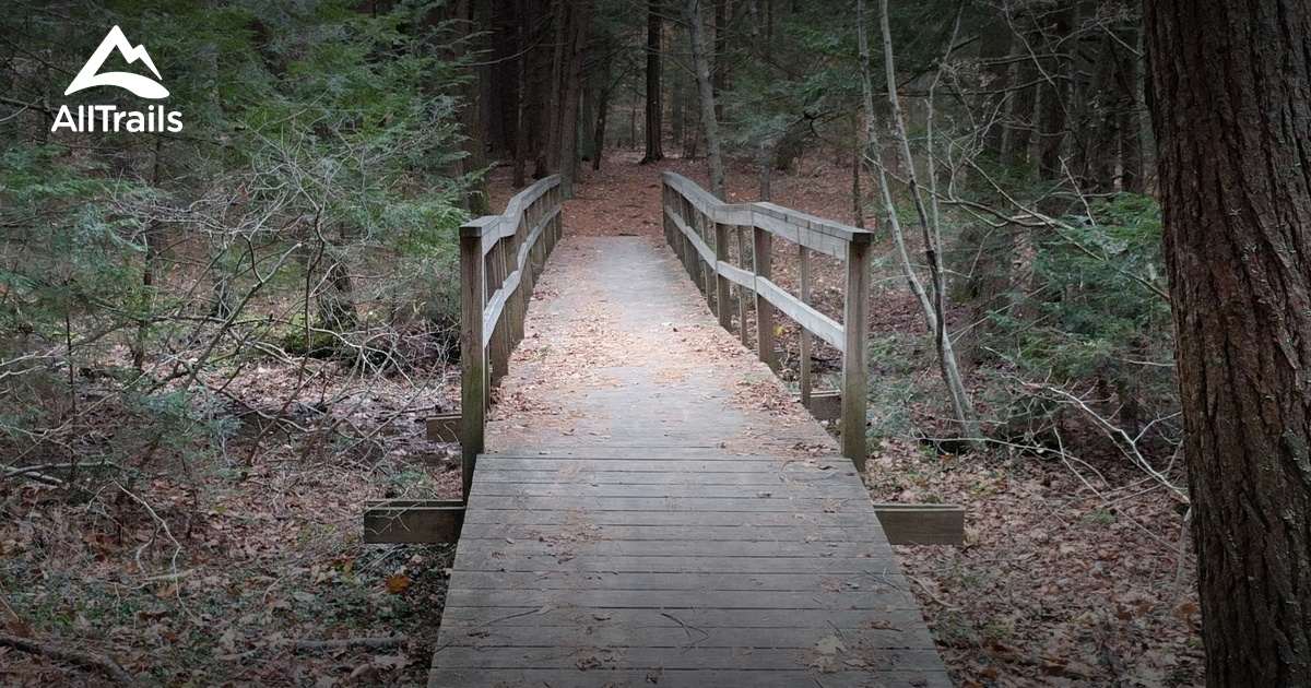 Best Trails in Phillips Exeter Academy Woods Trail Network New