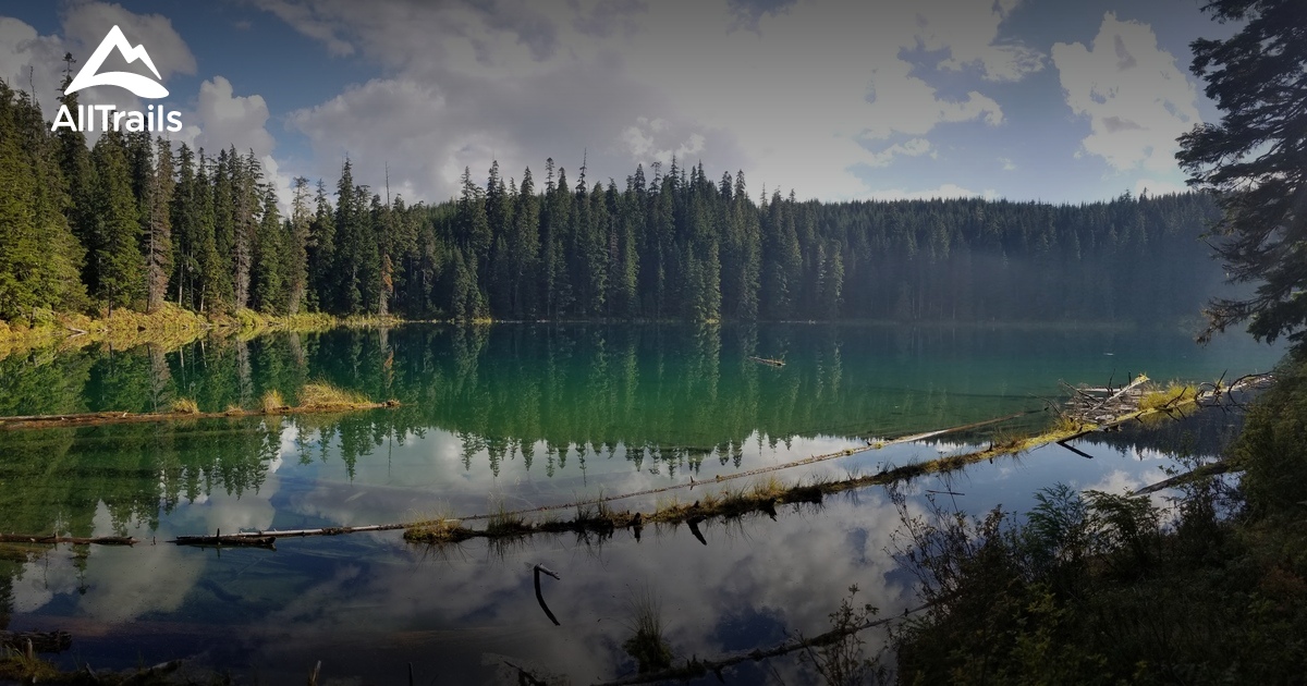 Best Hikes and Trails in Clearwater Lakes Trail Recreation Site AllTrails