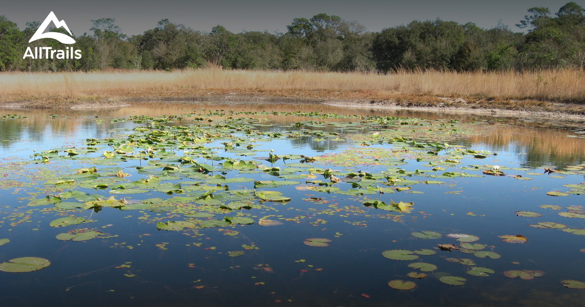 Best hikes and trails in Violet Cury Nature Preserve AllTrails