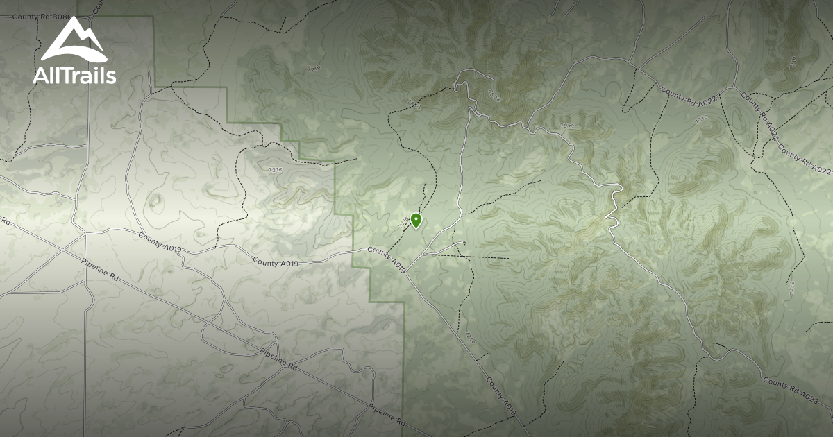 Best Trails in Cibola National ForestMountainair Ranger District (East