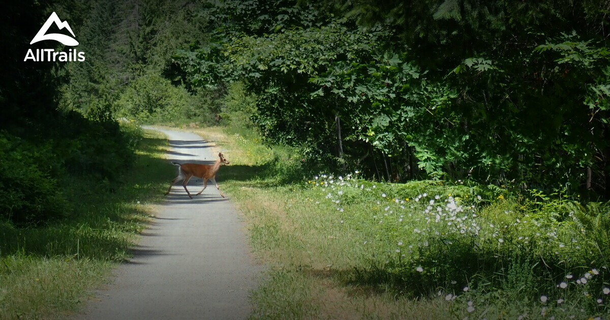 West Shawnigan Lake Provincial Park de beste routes om te wandelen