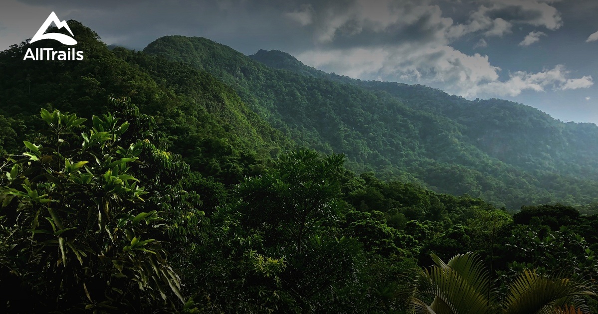 Nationalpark Pico Bonito: Die besten Routen zum Wandern | AllTrails