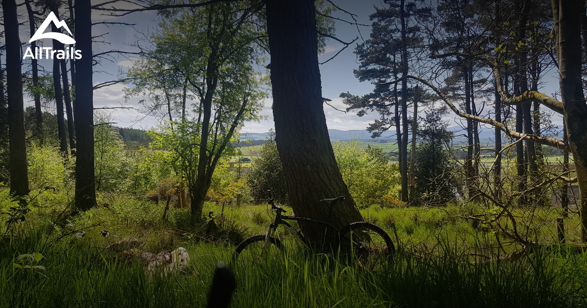 Best trails in Kingshill Wood, Aberdeen, Scotland AllTrails