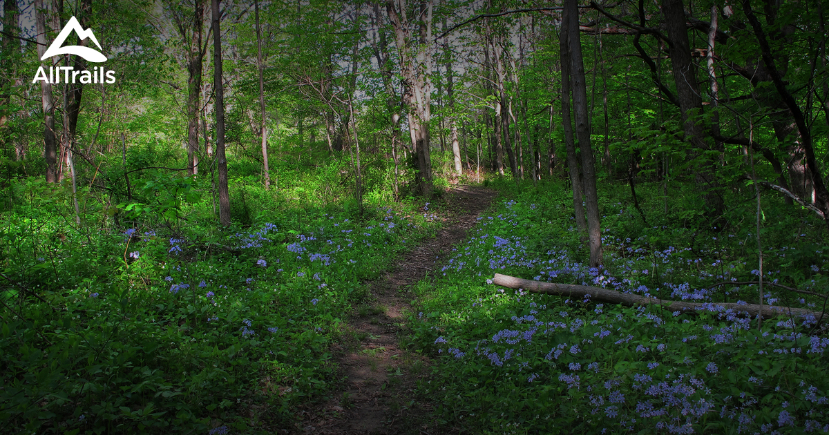Best trails in Meadowbrook Nature Preserve, Indiana AllTrails