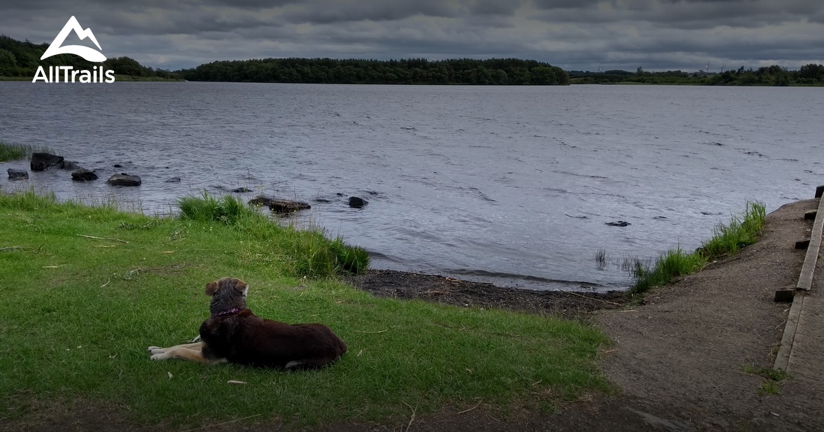 Best river trails in Lochore Meadows Country Park | AllTrails