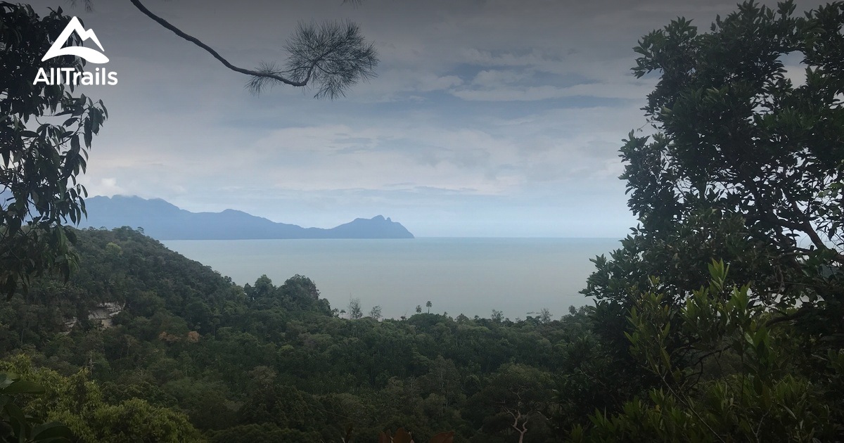 Malaysia’s Best National Parks - Bako National Park Hiking trails and beach attractions