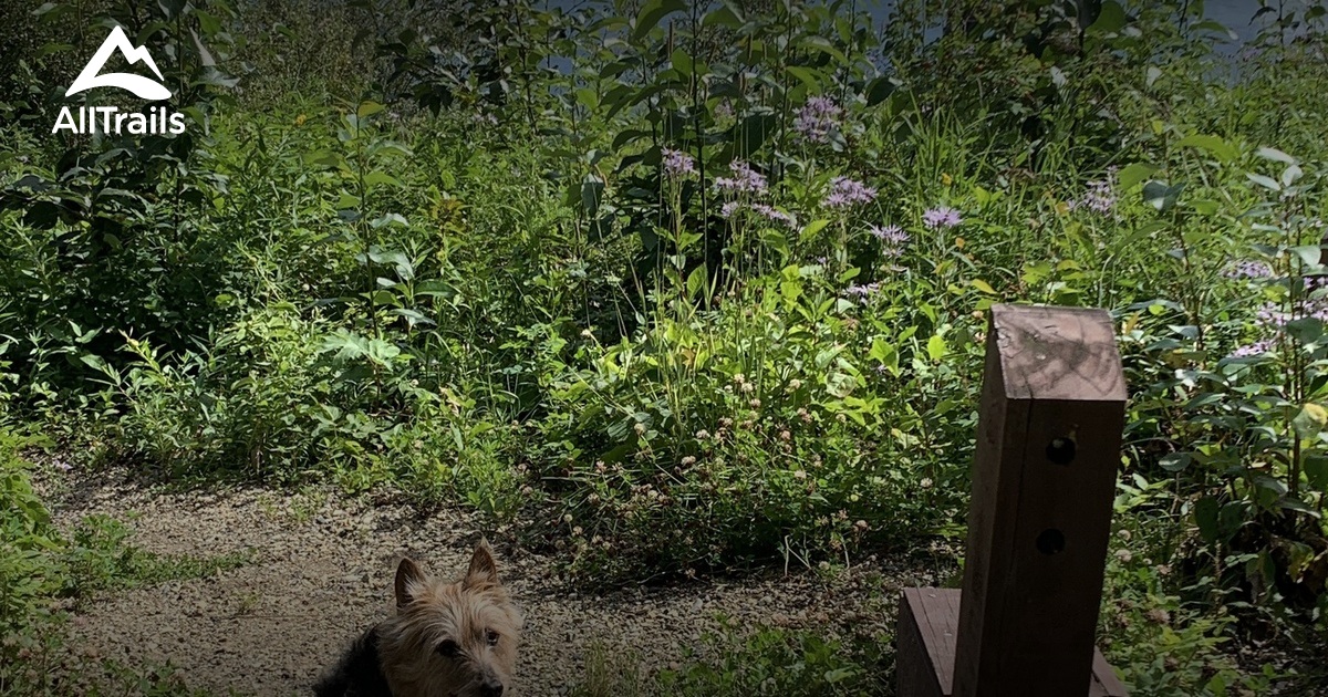 Best Hikes and Trails in Charlie Lake Provincial Park AllTrails