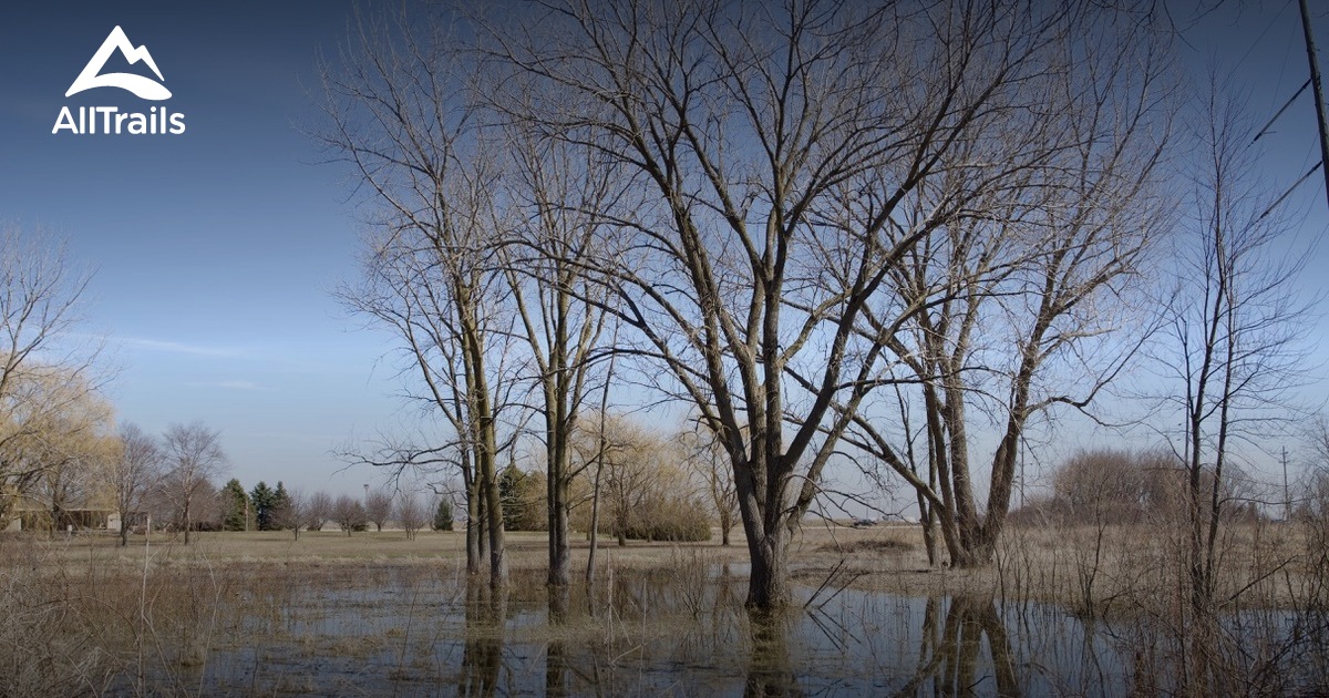 Best Hikes and Trails in Wilkinson Renwick Marsh Nature Preserve