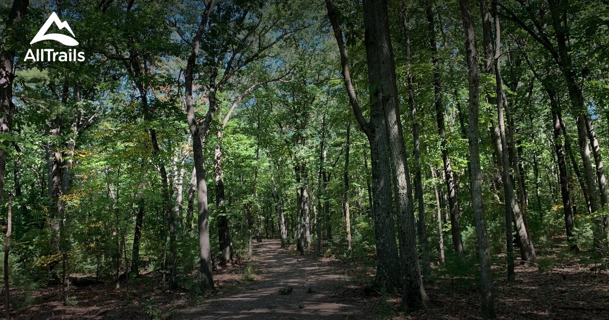 Best Hikes and Trails in Bachelor Brook/Stony Brook Resource Area