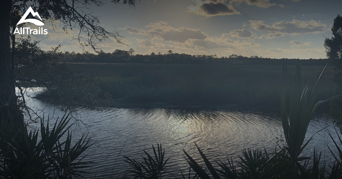 Best Hikes and Trails in Bogey Creek Preserve AllTrails