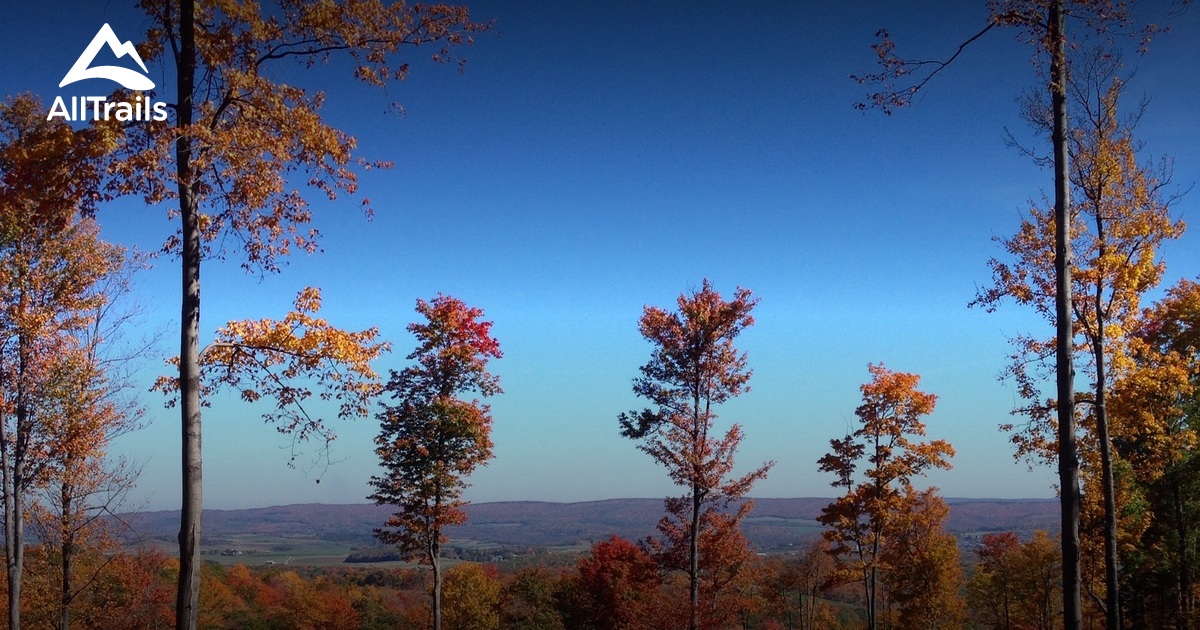 Best Trails in Mount Davis Natural Area Pennsylvania AllTrails