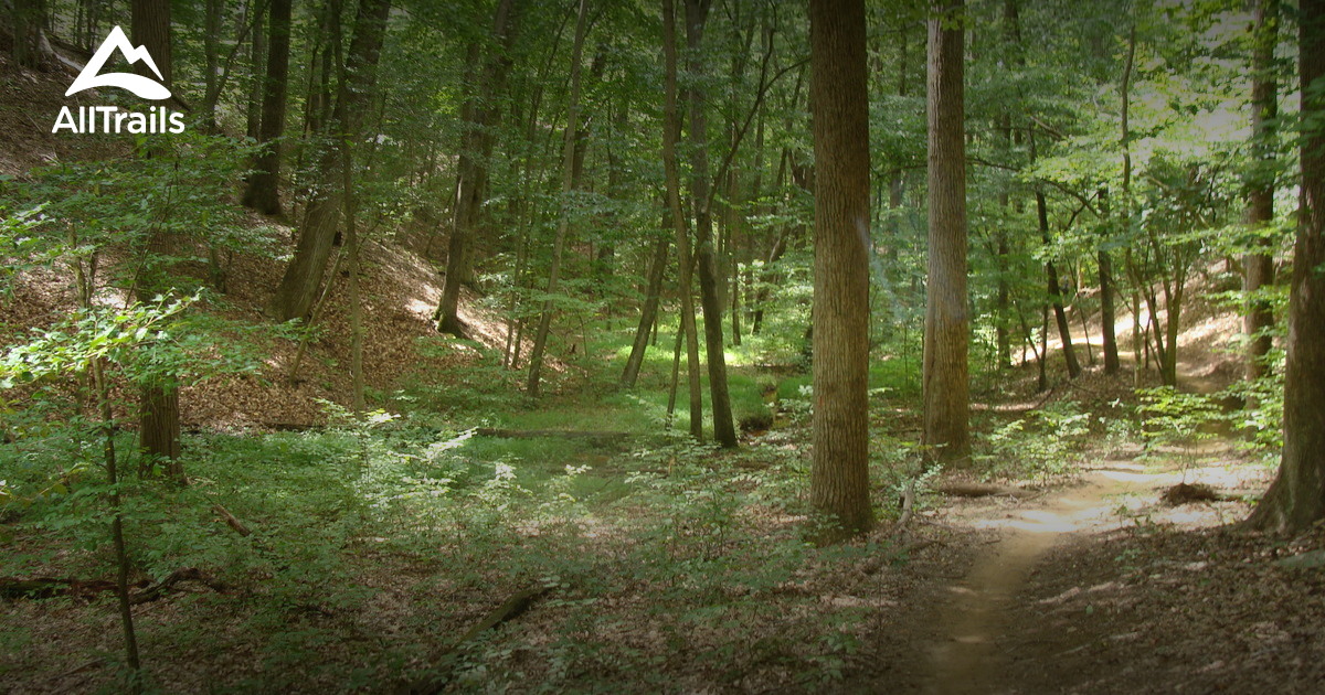 Bacon Ridge Trail