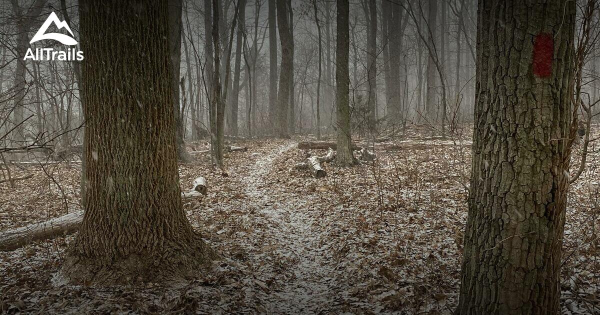 Best Hikes and Trails in Coventry Woods Park AllTrails