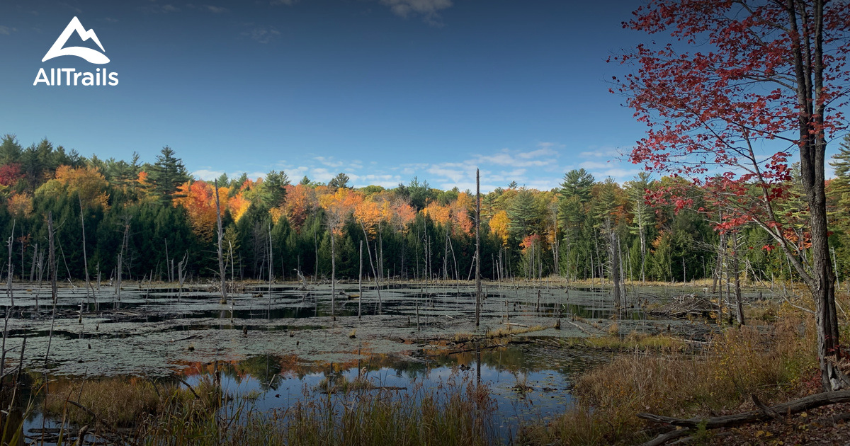 Best Trails in Boscawen Town Forest New Hampshire AllTrails