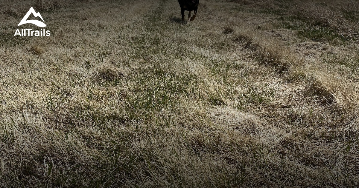 Best trails in Mouse River Park, North Dakota AllTrails