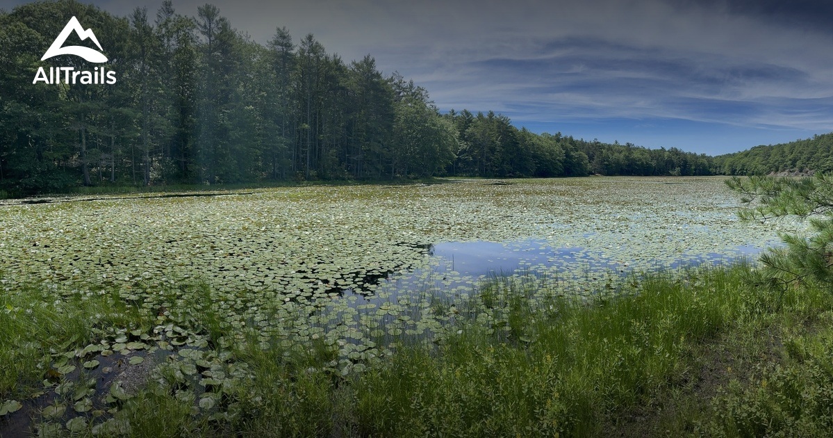 Best Hikes and Trails in Center Pond Preserve AllTrails