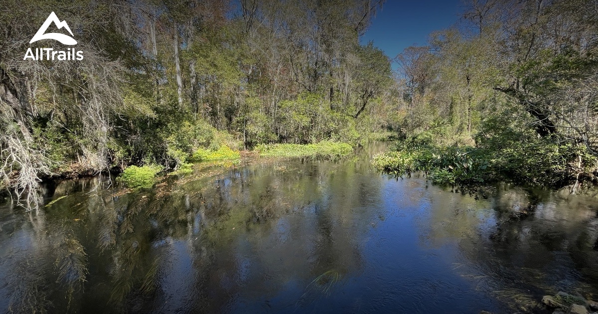 Best Hikes and Trails in Lake Panasoffkee AllTrails