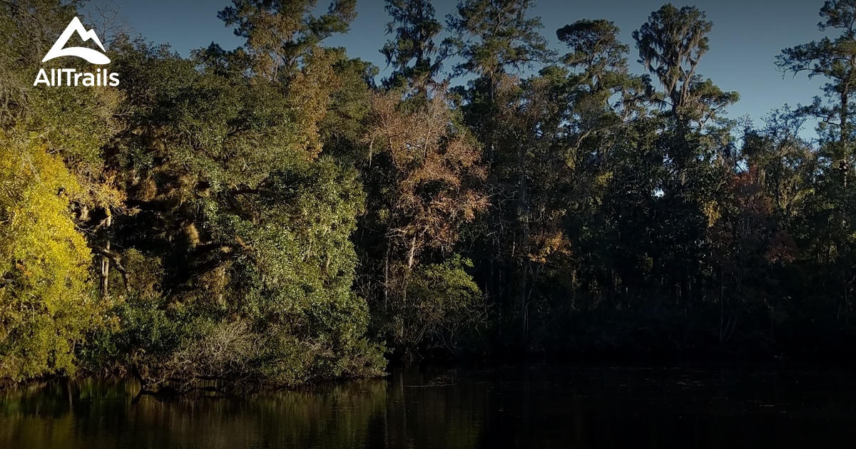 Best Hikes and Trails in Shell Bluff Park AllTrails