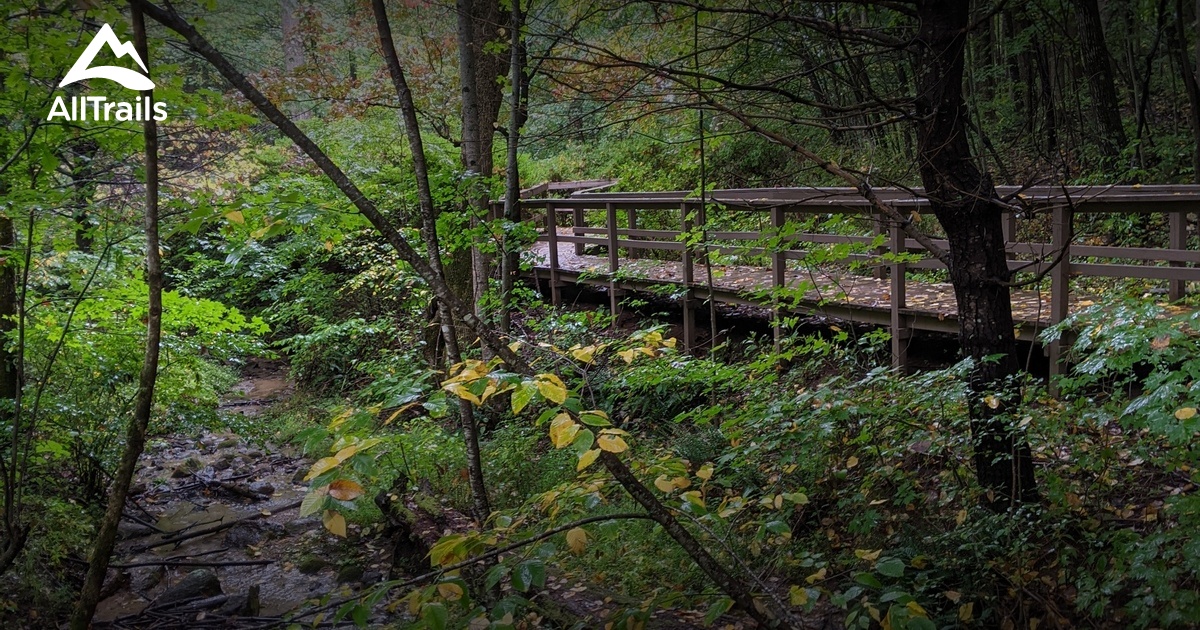 Happy Hollow Gardens Park: Explore Nature's Serenity