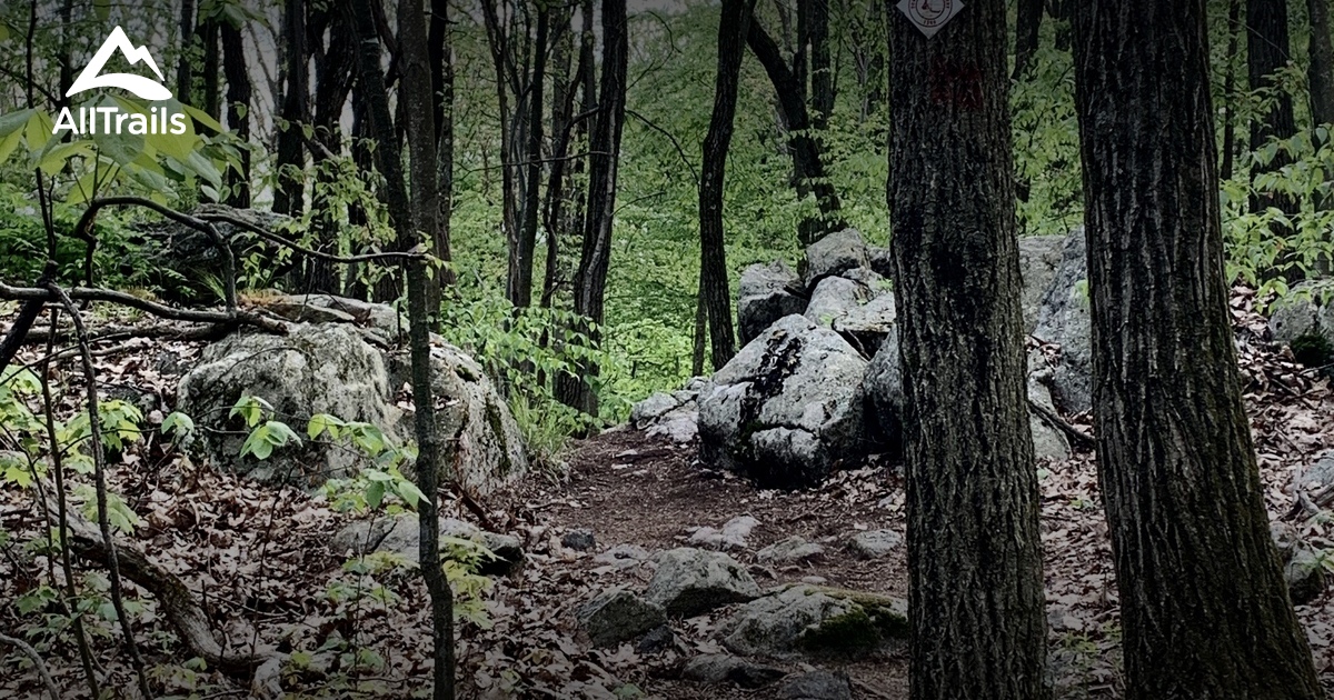 Best Hikes and Trails in Veterans Park Roxbury Township AllTrails