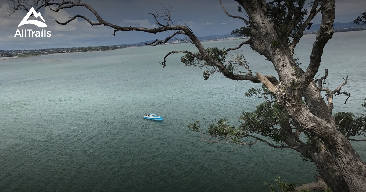 Best Hikes and Trails in Kauri Point Centennial Park AllTrails