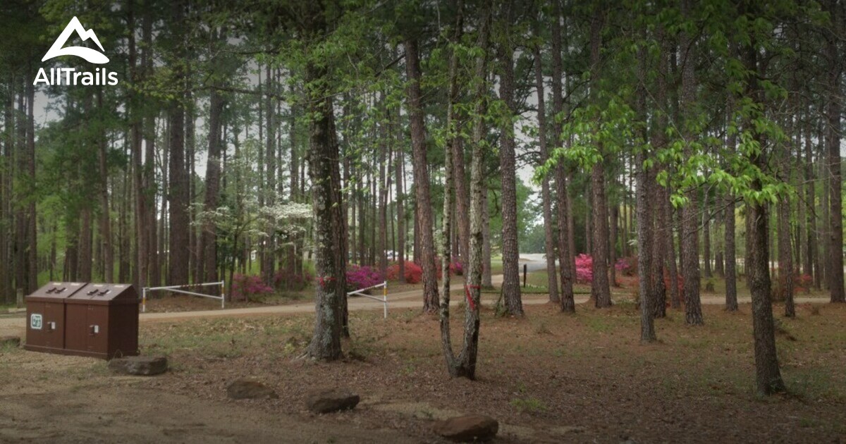 Best Hikes and Trails in Gum Springs Recreational Area AllTrails