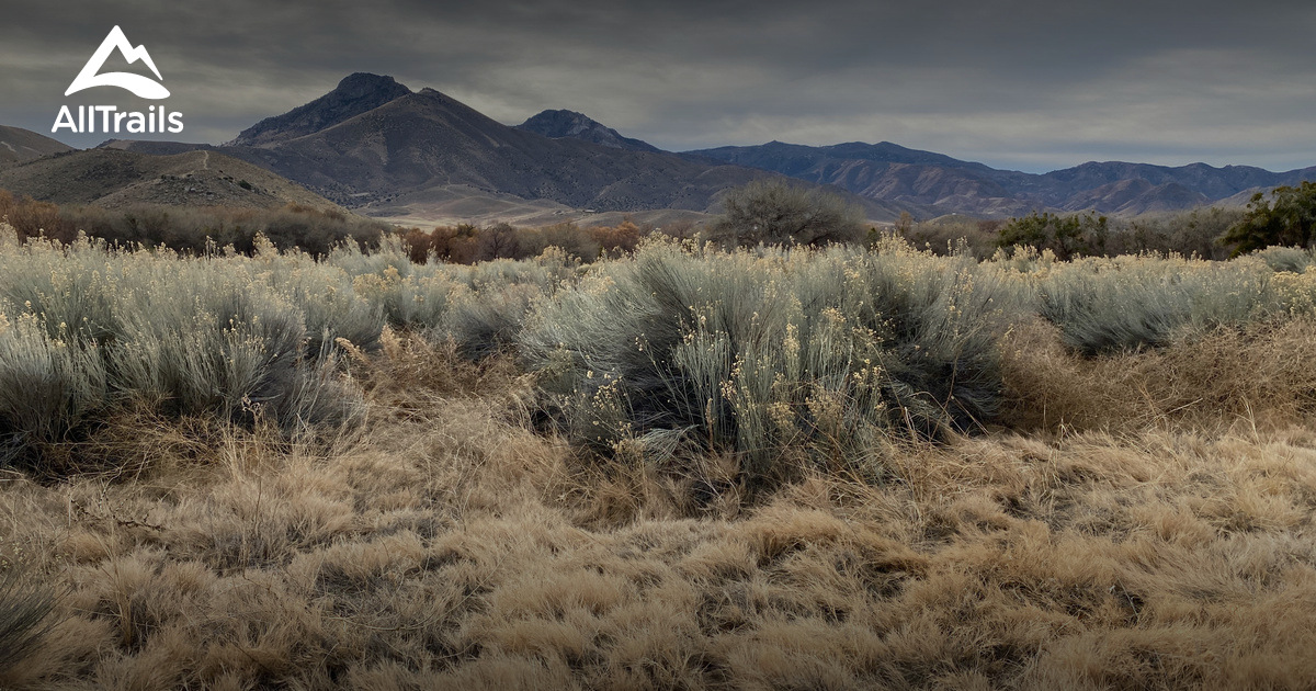 Best Hikes And Trails In Kern River Preserve 