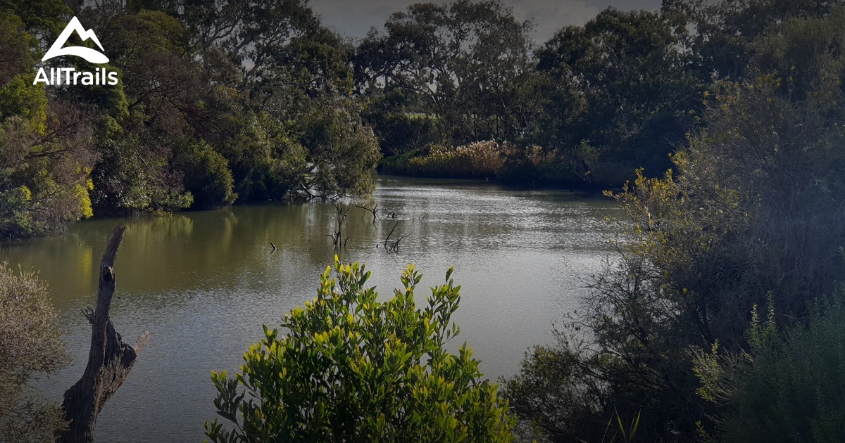 Best Hikes and Trails in Altona Meadows Natural Features Reserve