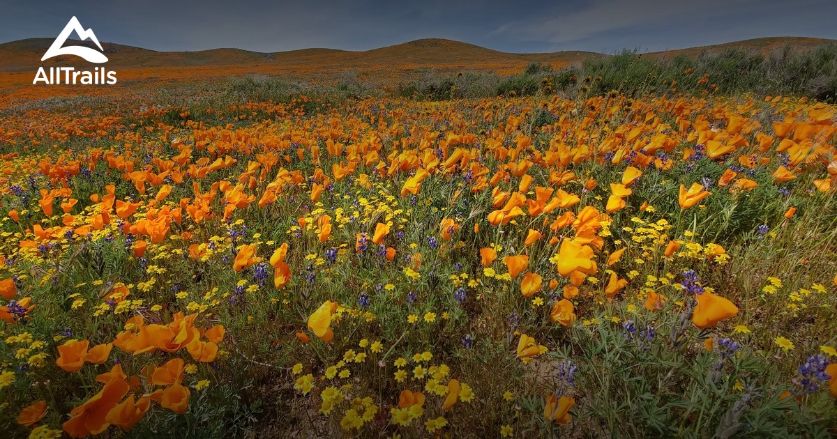 reserve california reserve california