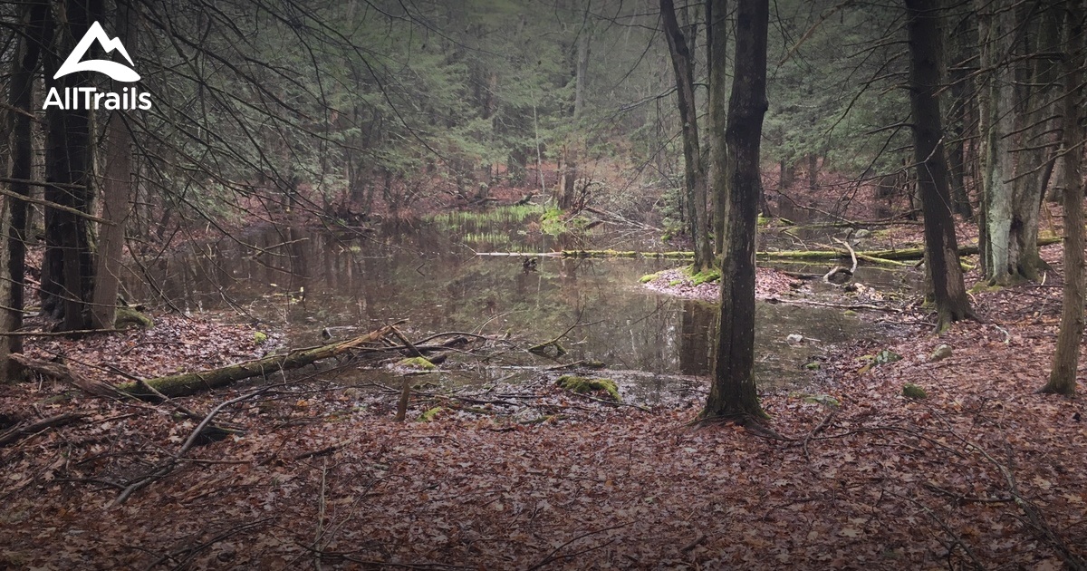 Best 10 Easy Trails in Canton Land Conservation Trust AllTrails