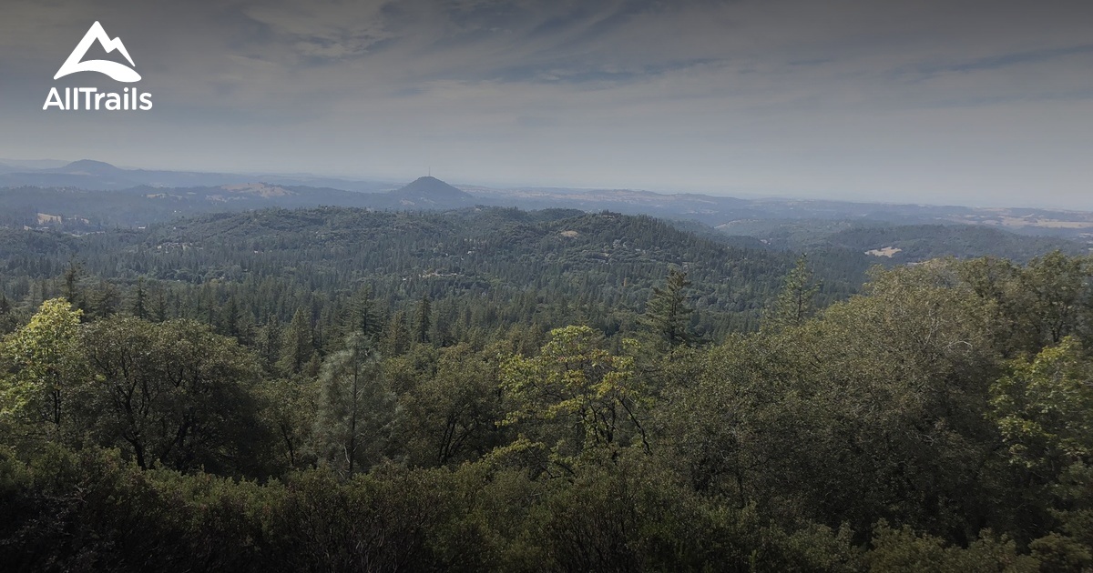 Best Trails in Mount Zion State Forest California AllTrails