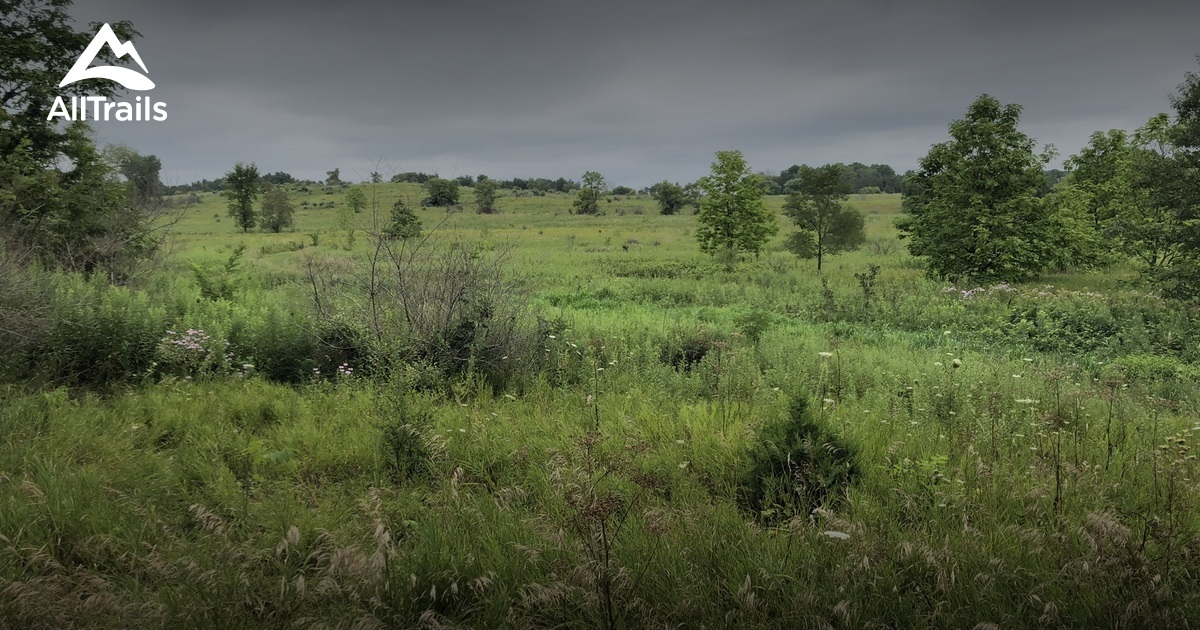 Best Hikes and Trails in Pleasant Creek State Park