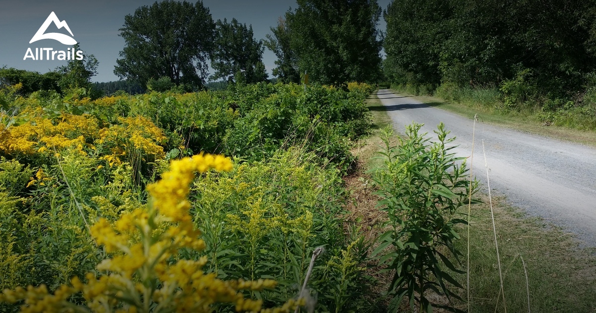 Best Trails in ÎlesdeBoucherville National Park Quebec, Canada