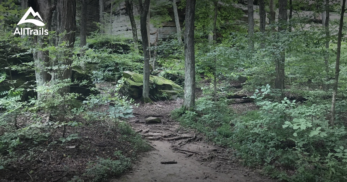 Ferne Clyffe State Park Map Best 10 Trails In Ferne Clyffe State Park | Alltrails