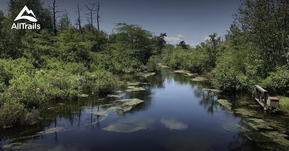Best Trails in Caleb Smith State Park Preserve New York AllTrails