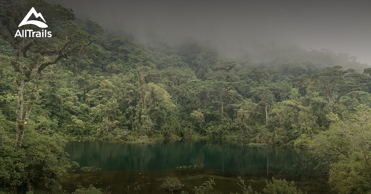 Best hikes and trails in Juan Castro National Park National Park