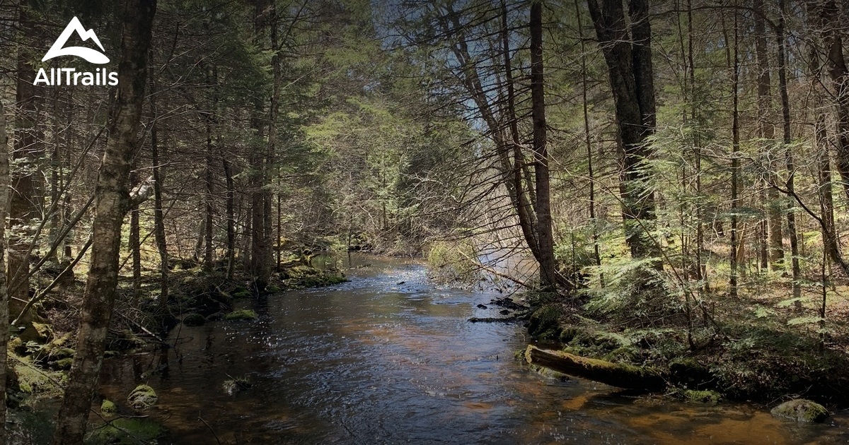 Best hikes and trails in Plover River State Fishery Area AllTrails