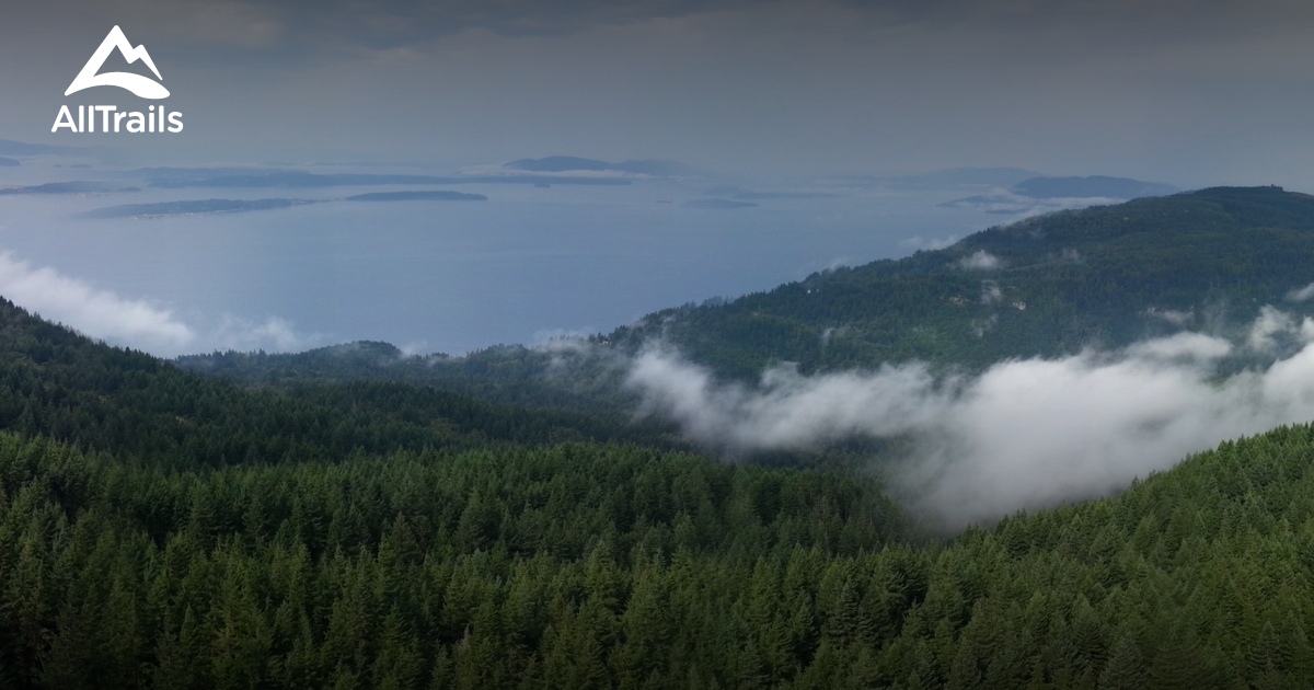 2023 Best 10 Trails in Blanchard State Forest AllTrails
