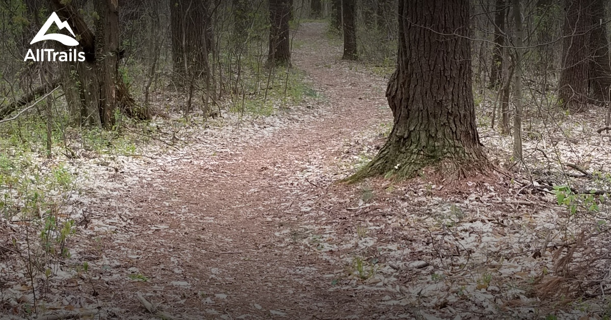 Best Hikes and Trails in Ferdinand State Forest AllTrails