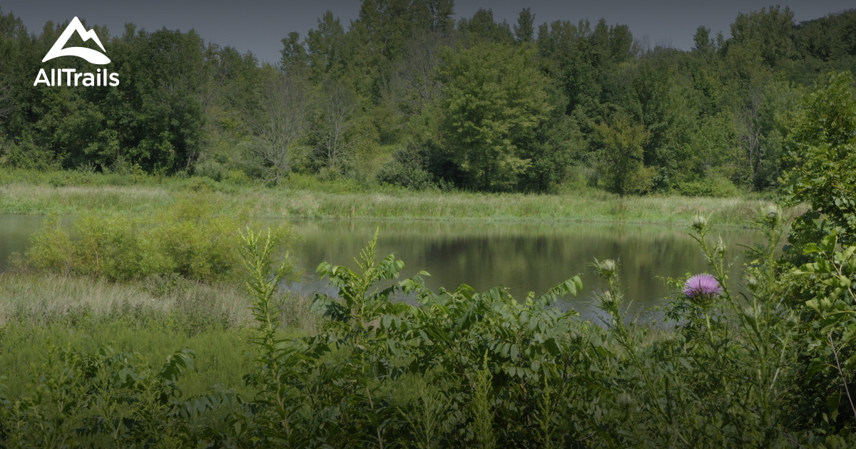 Escape to Tranquility: A Journey to Ohio's North Pond State Nature Preserve