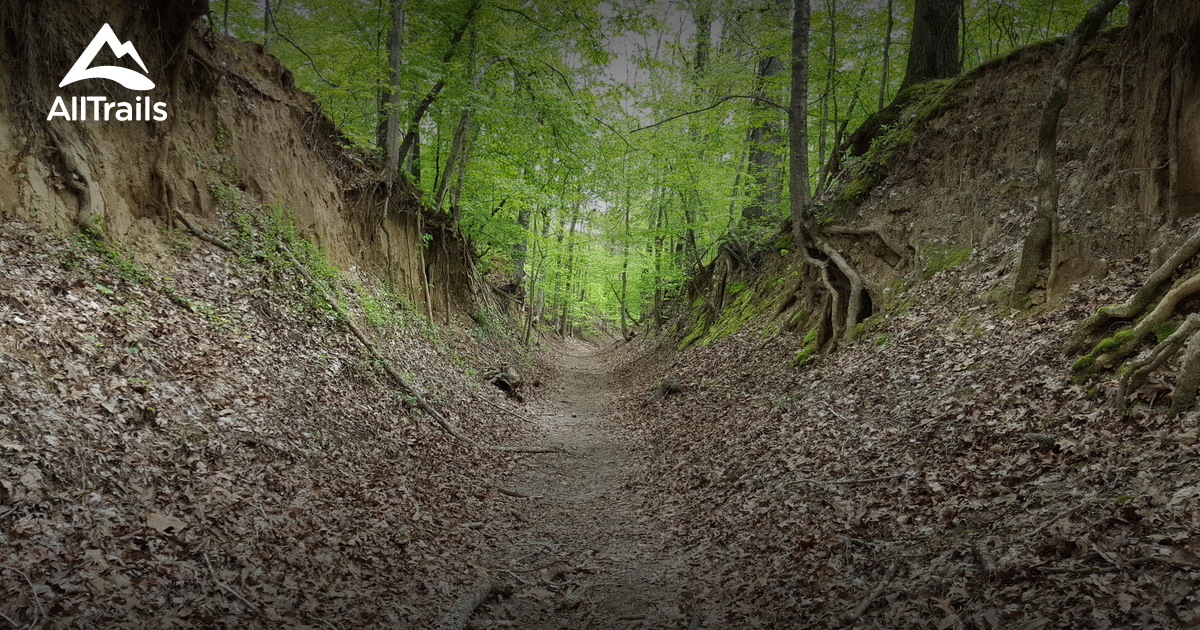 Best Trails in Village Creek State Park Arkansas AllTrails