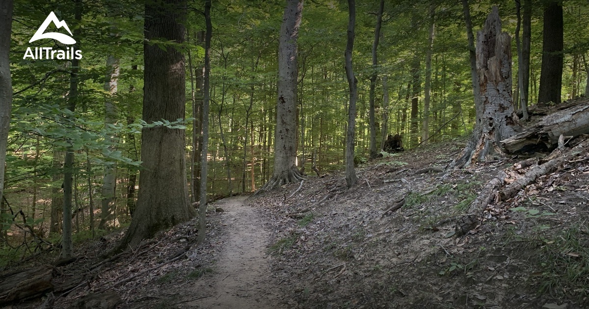 Best Hikes and Trails in Forbes Woods AllTrails