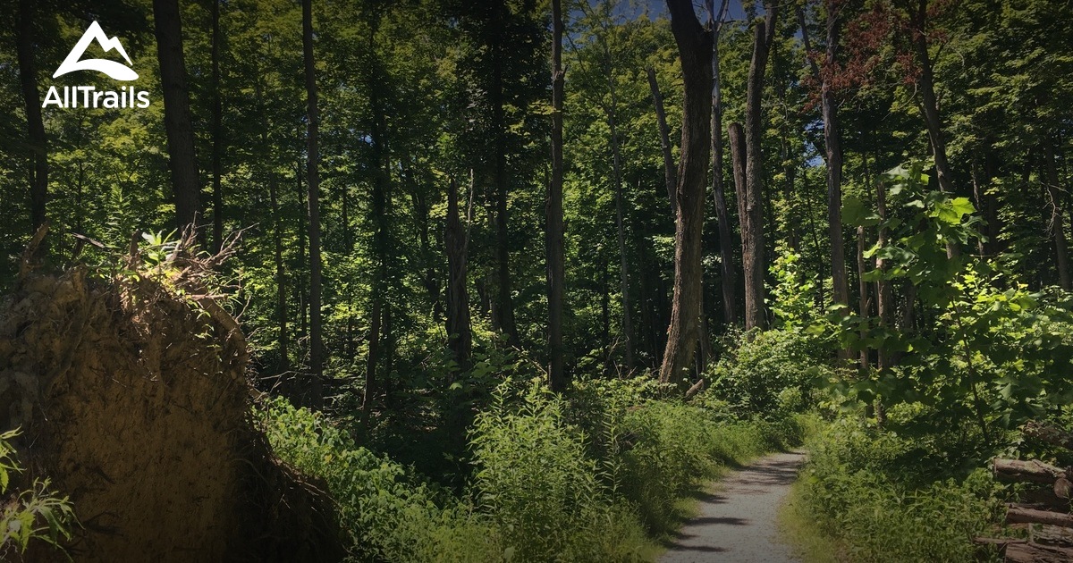 Cincinnati Nature Center, Blog