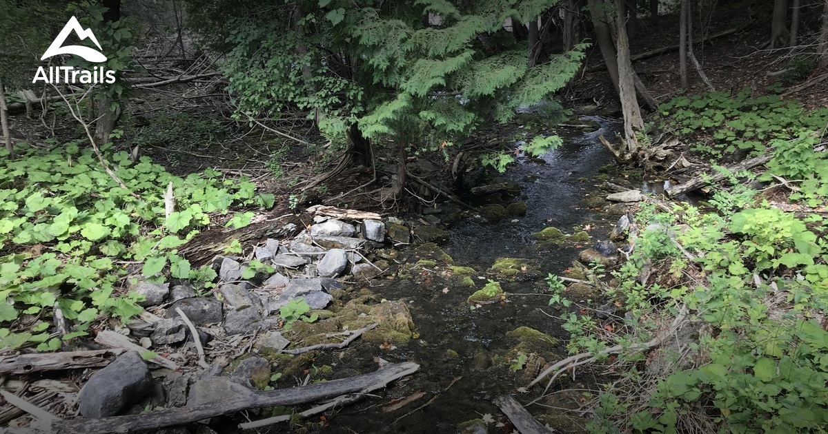 Best Hikes and Trails in Woodchuck Hill Field and Forest Preserve