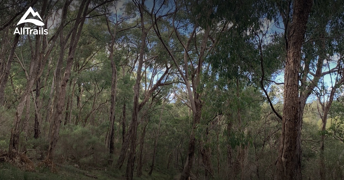 Best Hikes and Trails in WarrandyteKinglake